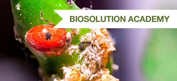 Biosolution Academy